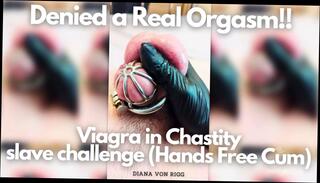 Video 1622576251: cbt femdom bdsm mistress, bondage slave femdom domination, mistress humiliates slave, mistress punishes slave, femdom mistress handjob, bdsm bondage orgasm, mistress cage, british femdom humiliation, femdom handjob ruined orgasm, femdom handjob cum, femdom handjob cumshot, straight punished, desperate slave, mistress hand, delicious mistress, torment, slave hd, boys desperate, sadism