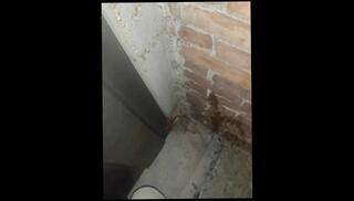 Video 1625489273: solo male piss, amateur public piss, piss street