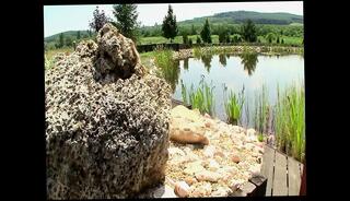 Video 1654881761: solo girl masturbating pussy, beautiful girl solo masturbation, wet solo girls masturbating, solo nipple masturbation, solo girl masturbates hot, natural tits solo masturbation, girl big tits solo, slut solo masturbation, solo masturbating straight, hard wet solo girls, solo hot blonde girl, hottest solo girl, amazing solo girl, slutty solo, solo outdoor masturbation, juicy pussy solo, whore solo, hole masturbates solo, girl solo hd, tits moist pussy, bitch