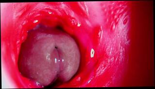 Video 1665302043: fetish solo, anal big cock fetish, solo pussy toying, solo amateur toys, solo toying ass, fetish blowjob anal, solo male moaning, big hard cock solo, big dick solo male, fetish vagina, solo close cock, hot amateur solo, romantic solo, camera solo, hole sex