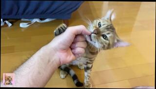 Video 1581900523: hentai sex compilation, hentai fetish, hentai pussy licking, hentai anal sex, sex hardcore hentai, amateur anal compilation, anal compilation pmv, compilation celebrity sex, fetish cam play, sexy