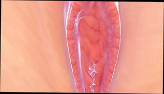 Video 1653564351: sex animation uncensored 3d, 3d animated pov, hd 3d animation, anime straight, giantess animation, pov colombian, giant pov