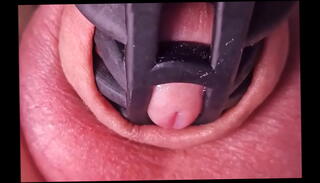 Video 1596447405: cage femdom, dripping precum