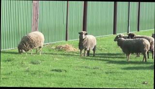 Video 1654323641: cougar gilf granny, milf gilf cougar, german cougar granny, gilf granny old, bisexual german milfs, milf cougar big, cougar grandma, boobs milf cum, giant boobs milf, woman old granny, granny cum mouth, straight bisexual, german milf outdoor, stockings gilf, large granny, gilf hd