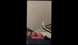 Video 1665430123: amateur cuckold hot wife, amateur wife solo, amateur solo male