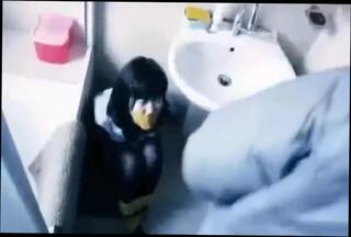 Video 838384504: bdsm fetish babe, fetish bdsm asian, japanese fetish babe, shower fetish, cute girl tied, girls bathroom