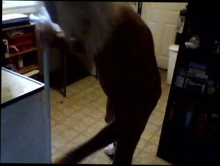 Video 216710201: sissy domination, sissy husband wife, gay man sissy, sissy home