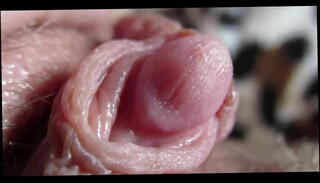 Video 1654927295: clit orgasm closeup, closeup huge, amateur clit orgasm, pussy clit orgasm, orgasm amateur homemade, big clit orgasm