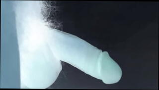 Video 1592833625: erect dick, sex erect