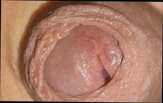 Video 1656805031: skinny twinks fucking bareback, skinny femboy twink, skinny twink solo, twink boys bareback fuck, gay bareback twink boy, daddy fucks twink bareback, twink bareback fucks cum, dick twink solo cum, twink bareback fucking teen, twink bareback fucking amateurs, bear fucks twink bareback, twink femboy masturbates, young skinny twink boy, twink latino bareback fucking, big dick twinks bareback, twink big cock bareback, homemade twinks bareback, twinks blowjob bareback, skinny straight twink, homemade solo pussy masturbation, gay twink spanking, twink fuck old gay, fucking bareback hd