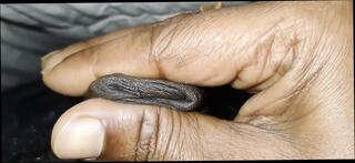 Video 1660290641: twink sissy femboy cum, crossdresser sissy anal solo, indian sissy femboy crossdresser, twink boys bareback fuck, gay bareback twink boy, twink bareback gay porn, amateur teen sissy crossdresser, bareback twink gay sex, twink boy friends bareback, twink grandpa fuck, sissy femboy blowjob, sissy crossdresser cock, bareback fucks asian twink, bareback fuck young twink, sissy femboy masturbate, twink big cock bareback, hunk barebacks twink, beautiful sissy femboy, old sissy crossdresser, mature crossdressers sissys, grandpa fucks teen girl, desi twinks gay fucking, gay twinks fucking men, gay man fucking twink, solo boy handjob, fucking bareback hd, penis handjob