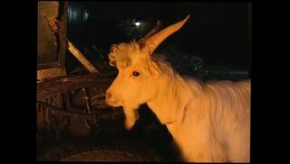 Video 1656580701: karma rosenberg, busty vintage milf, busty milf ass fucked, busty milf pussy fucked, busty milf tit fucking, busty milf fucked cummed, busty milf hot ass, busty milf fucked hard, busty milf slut, busty big tits milf, busty milf big boobs, busty milf butt, busty milf blowjob, busty milfs mouth, busty italian milf, hottest busty milf, busty milf eats, tits tight milf pussy, milf cum inside pussy, milf cunt fucked, classic vintage fucking, vintage vagina, milf giant tits, vintage nude, milf ejaculation, milf snatch, milf twat, milf fucked hd, vintage cumshots, vintage straight, milf large, porn