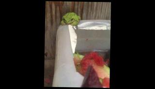 Video 1612892063: fetish solo, amateur webcam solo, fetish master, male solo webcam, hardcore fetish, chaturbate solo, cbt