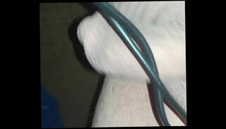 Video 1591713885: solo anal play, fucked deep