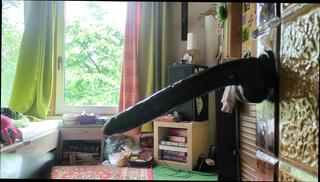 Video 1620693861: anal dildo fetish, anal dildo deep throat, amateur anal dildo, anal dildo gay, sloppy dildo deep throat, dirty dildo, anal dildo hd, german dildo