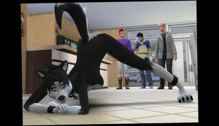 Video 1470344665: 3d hentai anime game, 3d hentai furry, 3d anime slut, 3d animation dick, pussy 3d hentai, 3d animation anal, furry gangbang, public anal gangbang, anime oral, 3d group, horny slut cock