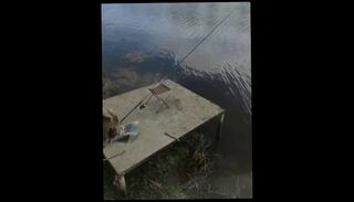 Video 1632023743: fetish solo, amateur solo male, solo male shower, solo male muscle, solo male outdoors, gym solo, amateur sports