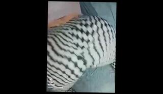 Video 1585136283: chubby bbw pawg, chubby pawg amateur, pawg bbw big ass, bbw pawg girl, chubby bbw big tits, chubby bbw babe, bbw amateur solo, thick bbw pawg, bbw white pawg, beautiful chubby bbw, solo female bbw, pawg big ass butt, chubby dark haired