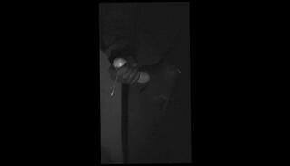 Video 1665980443: fetish solo masturbation, latex solo, vintage latex, cock masturbation solo cumshot, dick solo masturbating cumming, solo handjob cumshot, solo male masturbation cumshot, solo big dick cumshot, amateur solo handjob, latex fisting, solo sperm, massive cumshot