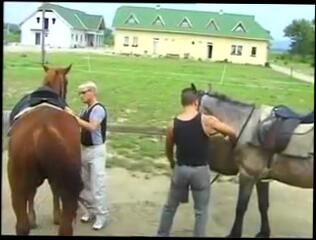 Video 213297904: hardcore outdoor sex, hardcore group sex, german outdoor group sex
