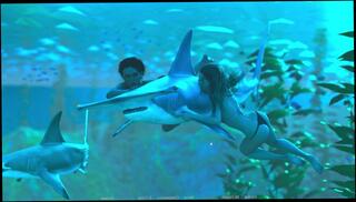 Video 1594033513: anime 3d hentai, 3d cartoon animated, 3d cartoon brunette babe, hentai anime big boobs, big titted 3d anime, 3d anime girl, big ass anime cartoon, 3d hentai teen, hentai bikini, skinny bikini, skinny amateur teen girl, bikini butt babes, small titted skinny girl, skinny petite small tits, 3d erotic, 3d mom, bikini swimming, bikini pool, 3d 60fps