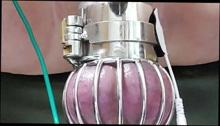 Video 1573564731: cbt cock ball torture, balls bdsm cbt, cbt milk, cock cage cum, cock ball torment, amateur cock milking, milk gay sex, bdsm sex toys, cbt ball stretching, cbt cumshot, small cage, milk hd, thick cock balls, bitch ball, cock cum load, american gay sex