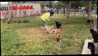 Video 1613025553: amateur milf anal creampie, creampie milf big ass, big tits milf creampie, fetish milf big ass, fetish milf sub, latin milf creampie, amateur anal sex creampie, anal orgasm creampie, big dick anal creampie, public sex creampie, milf mexicana latin, peruvian milf, creampie 60fps