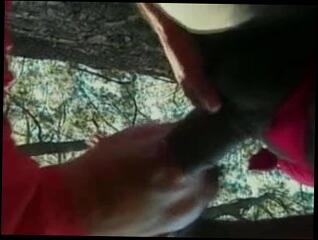 Video 127913801: vintage interracial, vintage brazilian shemale, interracial outdoor blowjob, vintage cock, vintage big cock