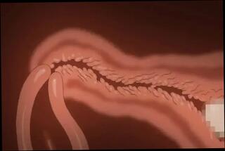 Video 1656917791: 3d hentai anime cartoon, anime hentai cartoon milf, hentai anime cartoon fuck, hentai anime sex cartoon, ass hentai animation 3d, anime girl 3d hentai, 3d anime hentai tits, anime cartoon teen milf, hentai story animated cartoon, hentai cartoon anime big, hentai anime squirting, hentai sexy anime girls, 3d school girl animation, 3d hentai teacher, anime hentai mom, fantasy hentai animation, young 3d anime, animated hentai asian, milf teacher fucks student, sex desi cartoon fuck, indian girl cartoon sex, college anime girl, old anime girl, turkish milf fucking, ass milf 18 years, milf fucks older