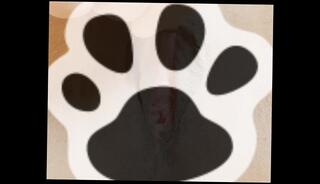 Video 1610695863: bondage squirting orgasm, bdsm bondage orgasm, bdsm hardcore bondage, bondage amateur bdsm, solo squirt orgasm, solo masturbation squirting, bondage bdsm japanese, bondage pee, solo female squirt, toys squirting orgasm, clitoris massage, hard squirting orgasm, electric massage, stimulation massage, exposed massage