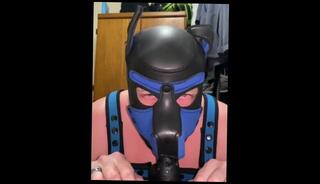 Video 1579242763: pov solo cumshot, fetish pov blowjob, fetish gay solo, solo fetish play, solo male pov, amateur pov blowjob cumshot, amateur pov blowjob hardcore, pov deep throats cum, solo male sex toy, solo men gay sex, gay hunk solo, pov cum eating, mouth pov cummed, pov licking, pov rough sex, puppy fetish, solo tattoo male