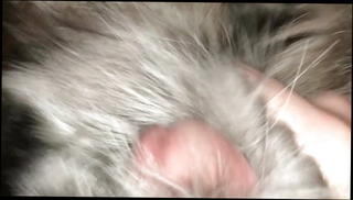 Video 1536780801: sis cum, masturbating cum jerk, gay jerks cum, jerk hd