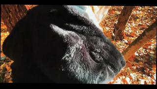 Video 1662053391: pov teen amateur blowjob, big ass babe pov, big dick pov sex, hd pov blowjob babe, ass beauty pov, pov outdoor sex, redhead babe pov, big butt pov, pov straight, large pov, ass beauty fucking big