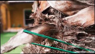 Video 1656348191: handjob big cock cumshot, big cock blowjob handjob, handjob cumshot big tits, wet handjob blowjob, big cock straight, big cock hd