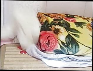 Video 1414851001: sexy asian slut, sexy straight, nurse slut, bathroom slut, wet asian slut, chinese slut, good slut, best slut, slut hd
