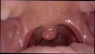 Video 1660492693: giantess vore pov, giantess vore fetish, pov solo female, vore swallowed, erotic pov, amateur female pov, amateur solo play, pov story, swallowing time