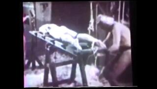 Video 1655652271: whipping bdsm bondage, bdsm bondage fetish, bondage domination bdsm, bdsm fetish chick, bondage bdsm girl, vintage whipping, vintage collection, hogtied whipped, dildo whipped, porn collection, facial collection, fetish straight, tied whipped, classics collection, vintage cuties, vintage time, hd collection