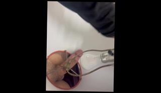Video 1618556743: fetish solo masturbation, solo masturbation pussy toying, solo masturbation pussy rub, solo masturbation hard cock, hard dick masturbating solo, solo masturbation huge cock, cock solo male masturbation, solo masturbation big dick, solo masturbation handjob, solo masturbation fucking, solo amateur masturbation, hole masturbates solo, solo men masturbating, solo big cock stroke, solo masturbation deep, fisting fetish, solo male humping, insertion fetish, muscular solo, big dick glory hole