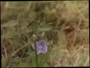 Video 25992001: interracial bbc blonde, black bbc interracial, interracial bbc big, bbc wet pussy, big black dick bbc, straight bbc, share bbc, petite blonde bbc, english big dick