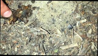 Video 1664201511: gay twink creampie, gay twink fetish, latino twink creampie, big cock creampie cum, twink amateur cums, teen cum creampied, twink ass cum, creampie ass cumshot, creampie cum filled, twink cum load, twink public cum, teen creampie hd, twink stranger, taste cum