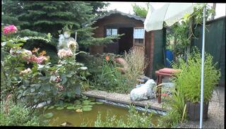 Video 1587658251: milf fingered pussy licked, milf fingers ass pussy, milf fingers fuck pussy, amateur cougar mature milf, milf fingers ass hole, closeup pussy fingering, big tits milf cougar, milf closeup blowjob, cougar milf cock, milf loves fingering, milf fingering tight, redhead milf fingering, european milf fingers, pussy licking hardcore fingering, milf boobs tit fucked, fingering licking pussy outdoor, milf loves hardcore sex, tits german milf fucks, vagina fingering fucking, small tits fingering licking, finger fucking straight, milf loves taking cock, milf public sex, dick loving mature, dick taste