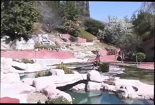 Video 1659310421: marlie moore, vintage solo, solo babe toys pussy, vintage pussy fucked, blonde babe solo pussy, solo self fucking, vintage outdoor fuck, vintage straight