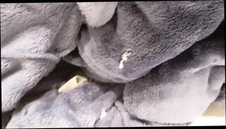 Video 1664834991: solo masturbation cum shot, gay cum solo, solo amateur cum, solo masturbation blowjob, white solo masturbation, solo masturbation hd, toilet solo, semen cum, big cock semen, cum pigs