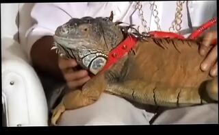 Video 1665487171: monica mattos, bang fetish, bang orgy, fetish babe sucks cock, babe bangs blows, babe pussy banged, pussy anal banged, throat deep anal bang, sucking dick banging, anal group sex orgy, fetish blowjob anal, fetish blow job, loving babe banged, beautiful babe banged, old pussy banged, cute babe banged, pussy shaving fetish, sweet pussy banged, deep cunt bang, fetish vagina, twat banged, bang straight, great group banging, banging 18 year old, babe sucks copulates, tasting babes pussy, anal coitus, bare pussy