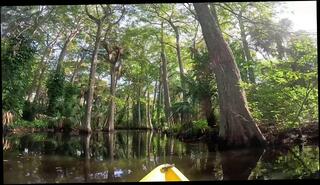 Video 1658663963: hot pov cuckold creampie, milf cuckolding creampie, milf homemade amateur pov, pov amateur fuck creampie, milf pov tit fucks, cuckold creampie hot wife, milf pov deep throat, amateur latin milf pov, pov creampie sex, pov cumshot creampie, german cuckold milf, tattooed milf pov, brunette milf creampie, girl sex amateur creampie, milf wife amateur couple, homemade pov sextape, perfect amateur milf, fake tits milf