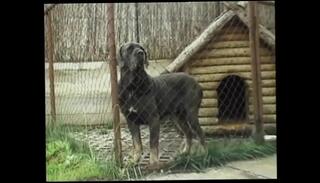 Video 1656776801: nick lang, olga martinez, vintage amateur nudes, vintage amateur cock, vintage amateur pussy, vintage babes cock, german vintage amateur, vintage cowgirl, vintage cum, vintage blowjob, vintage straight, white vintage, hd vintage, cock massive cum, giant cock cum, large cock cum, amateur takes cock, cock cum mouth