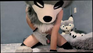 Video 1639524053: furry solo, solo male masturbation cumshot, amateur solo male masturbation, solo masturbation porn, cosplay solo masturbation
