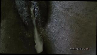 Video 1657821631: interracial creampie sex, amateur interracial creampie, asian interracial creampie, amateur homemade interracial sex, homemade creampie pussy, american interracial asian amateur, creampie asian woman, interracial black pussy, big clit creampie, pussy creampie close, young amateur creampie, pussy creampie old, pussy creampie hd, creampie straight, big impregnation creampie, black man creampies, creampie female, black baby, friends baby