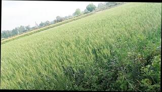 Video 1664243511: femboy solo cumshot, femboy crossdresser fucked, crossdresser femboy cum, crossdresser femboy masturbation, gay femboys crossdressing, crossdressing femboy teen, solo dick creampie, hot femboy crossdresser, cute femboy solo, solo gay sex boy, cock masturbation solo cumshot, daddy fucks femboy, big cock femboy cum, masturbation indian boy solo, white cock solo masturbation, cock massage fuck, homemade femboy sex, young boy solo masturbation, ass cock massaged, solo boy handjob, straight fucks crossdresser, fucks son step creampie, femboy fucks guy, men solo boys, old crossdresser fucked, femboy penis, fuck creampie close, homosexual creampie, creampie cum load, love hot solo masturbation, sweet solo masturbation, teen creampie hd, father step son fuck