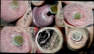 Video 1485256025: cock mastrubation, cock penis